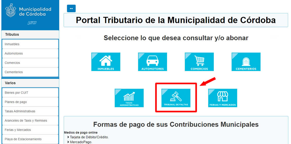 Consulta online Tribunal de Faltas Municipalidad de Cordoba Capital