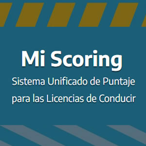 scoring puntos licencia conducir argentina